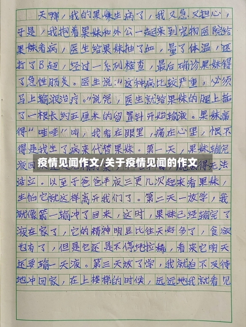 疫情见闻作文/关于疫情见闻的作文-第3张图片