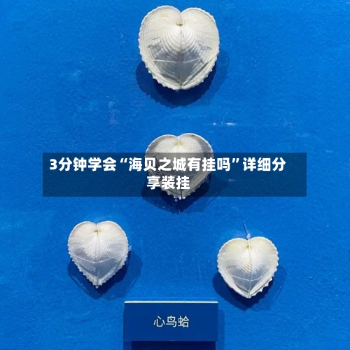 3分钟学会“海贝之城有挂吗”详细分享装挂-第3张图片