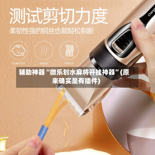 辅助神器“微乐划水麻将开挂神器”(原来确实是有插件)-第3张图片