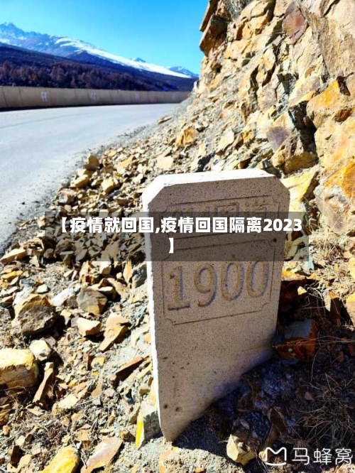 【疫情就回国,疫情回国隔离2023】-第3张图片