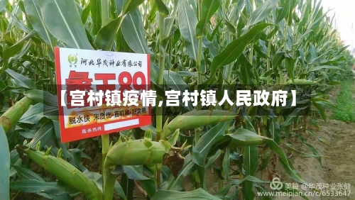 【宫村镇疫情,宫村镇人民政府】-第3张图片