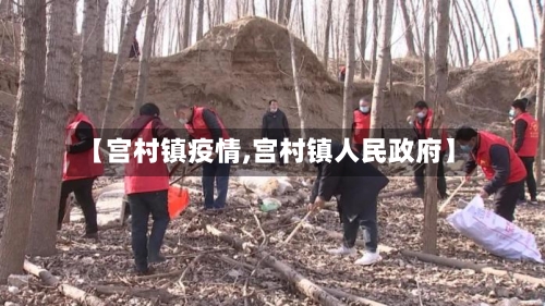 【宫村镇疫情,宫村镇人民政府】-第2张图片