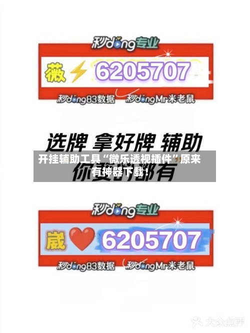 开挂辅助工具“微乐透视插件”原来有神器下载！-第1张图片