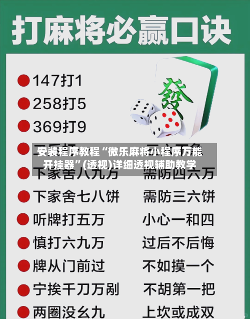 安装程序教程“微乐麻将小程序万能开挂器	”(透视)详细透视辅助教学-第2张图片