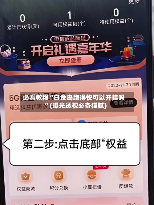 必看教程“白金岛跑得快可以开挂吗”(曝光透视必备猫腻)-第2张图片