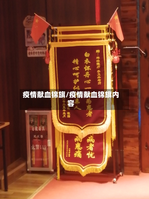 疫情献血锦旗/疫情献血锦旗内容-第3张图片