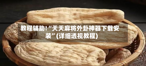 教程辅助!“天天麻将外卦神器下载安装”(详细透视教程)-第3张图片