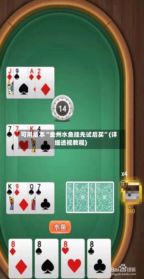 可用版本“金州水鱼挂先试后买”(详细透视教程)-第1张图片