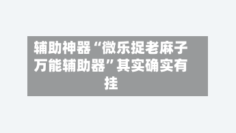 辅助神器“微乐捉老麻子万能辅助器”其实确实有挂-第1张图片