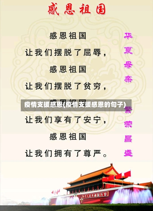 疫情支援感恩(疫情支援感恩的句子)-第2张图片