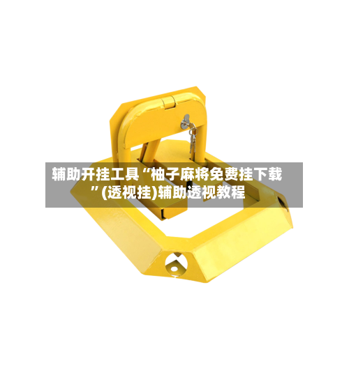 辅助开挂工具“柚子麻将免费挂下载”(透视挂)辅助透视教程-第2张图片