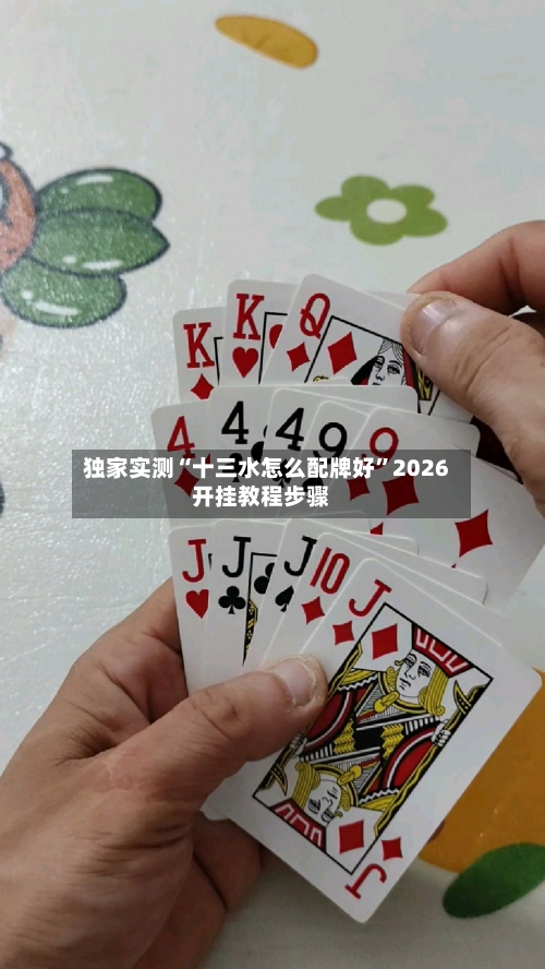 独家实测“十三水怎么配牌好”2026开挂教程步骤-第2张图片