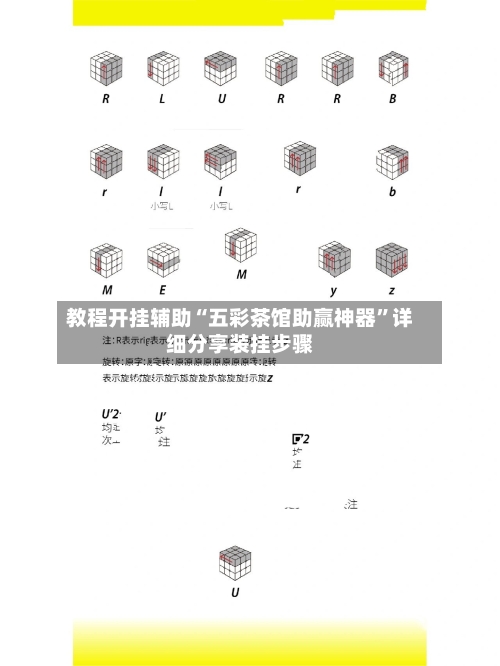 教程开挂辅助“五彩茶馆助赢神器”详细分享装挂步骤-第3张图片