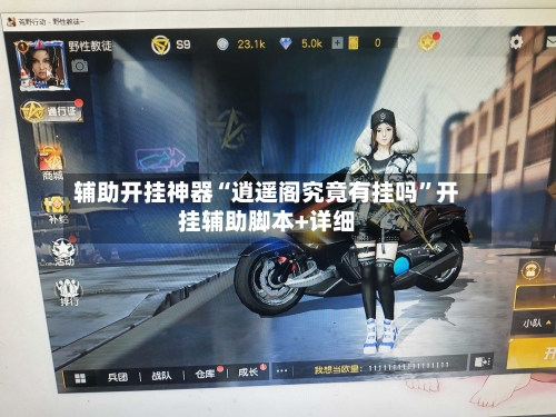 辅助开挂神器“逍遥阁究竟有挂吗	”开挂辅助脚本+详细-第2张图片