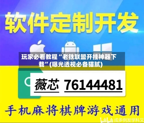 玩家必看教程“老铁联盟开挂神器下载”(曝光透视必备猫腻)-第2张图片