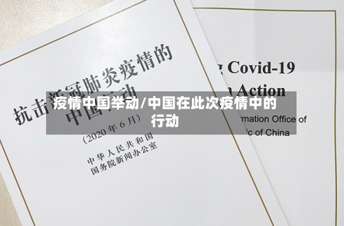 疫情中国举动/中国在此次疫情中的行动-第3张图片