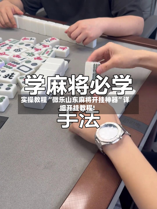 实操教程“微乐山东麻将开挂神器	”详细开挂教程!-第1张图片