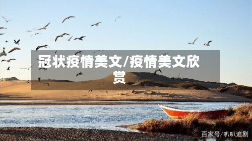 冠状疫情美文/疫情美文欣赏-第1张图片