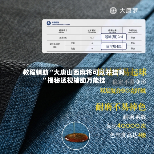 教程辅助“大唐山西麻将可以开挂吗”揭秘透视辅助万能挂-第3张图片