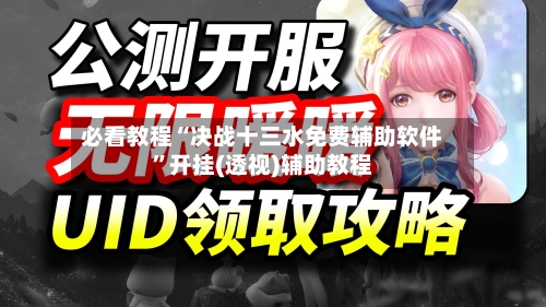 必看教程“决战十三水免费辅助软件”开挂(透视)辅助教程-第1张图片