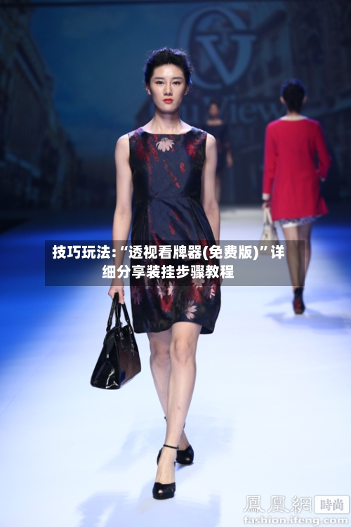 技巧玩法:“透视看牌器(免费版)”详细分享装挂步骤教程-第2张图片