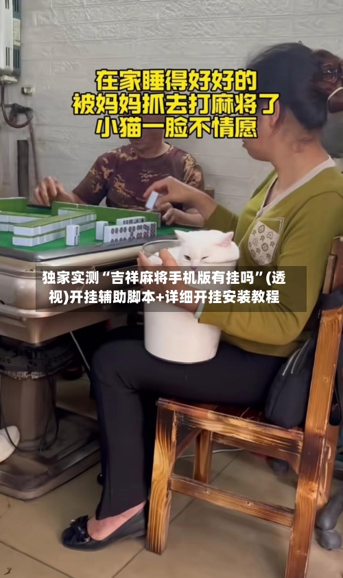 独家实测“吉祥麻将手机版有挂吗”(透视)开挂辅助脚本+详细开挂安装教程-第3张图片