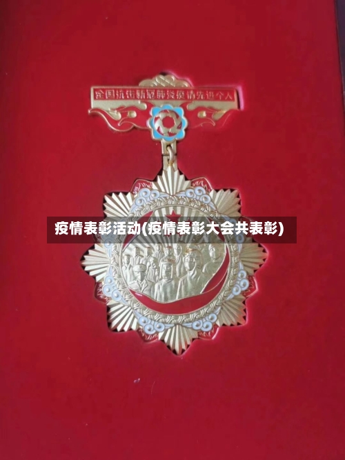 疫情表彰活动(疫情表彰大会共表彰)-第3张图片