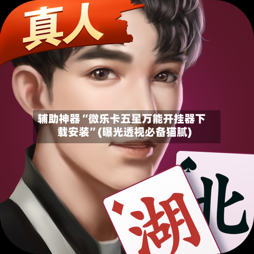 辅助神器“微乐卡五星万能开挂器下载安装”(曝光透视必备猫腻)-第2张图片