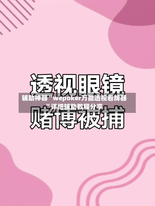 辅助神器“wepoker万能透视看牌器”详细辅助教程分享-第2张图片