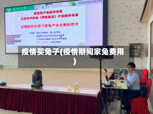 疫情买兔子(疫情期间家兔费用)-第1张图片