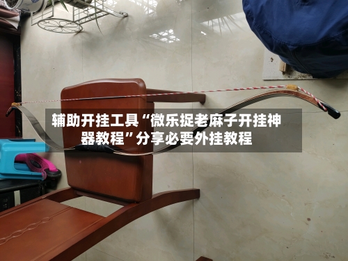 辅助开挂工具“微乐捉老麻子开挂神器教程”分享必要外挂教程-第3张图片
