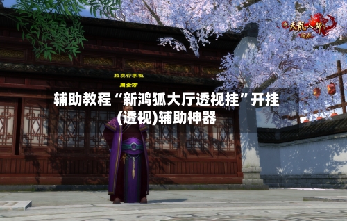 辅助教程“新鸿狐大厅透视挂”开挂(透视)辅助神器-第2张图片