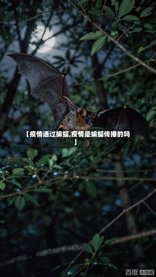 【疫情通过蝙蝠,疫情是蝙蝠传播的吗】-第2张图片