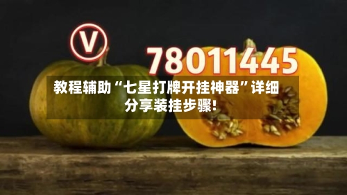 教程辅助“七星打牌开挂神器”详细分享装挂步骤!-第1张图片