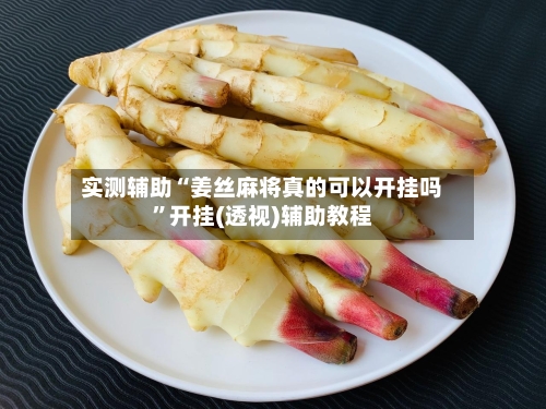 实测辅助“姜丝麻将真的可以开挂吗	”开挂(透视)辅助教程-第1张图片