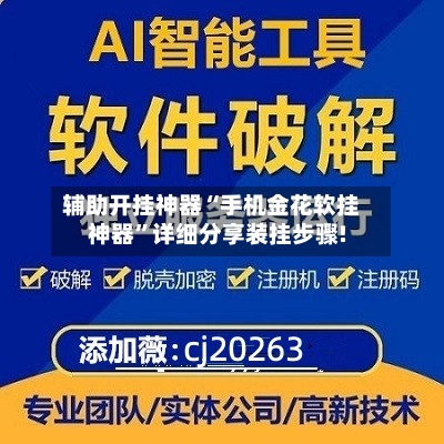 辅助开挂神器“手机金花软挂神器”详细分享装挂步骤!-第2张图片