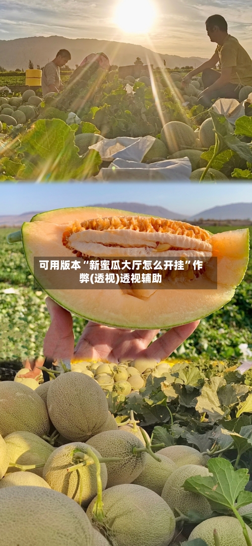 可用版本“新蜜瓜大厅怎么开挂	”作弊(透视)透视辅助-第1张图片