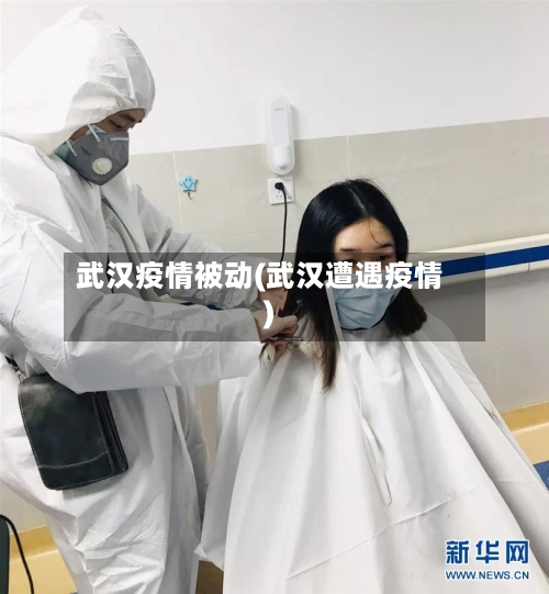 武汉疫情被动(武汉遭遇疫情)-第2张图片