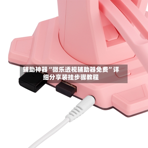 辅助神器“微乐透视辅助器免费	”详细分享装挂步骤教程-第2张图片