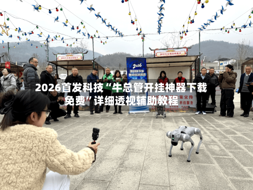 2026首发科技“牛总管开挂神器下载免费	”详细透视辅助教程-第2张图片