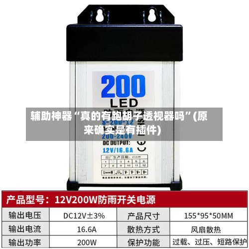 辅助神器“真的有跑胡子透视器吗”(原来确实是有插件)-第3张图片