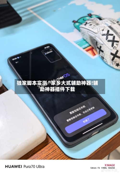 独家脚本实测“家乡大贰辅助神器!辅助神器插件下载-第2张图片