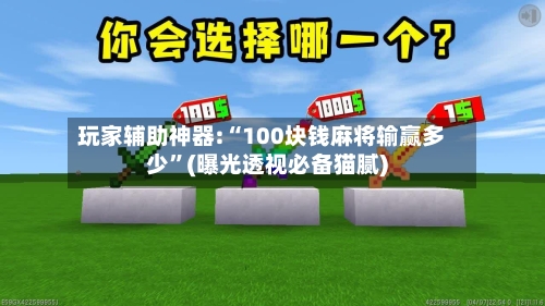 玩家辅助神器:“100块钱麻将输赢多少”(曝光透视必备猫腻)-第3张图片
