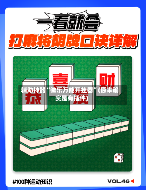 辅助神器“微乐万能开挂器	”(原来确实是有插件)-第1张图片