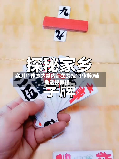 实测!“家乡大贰内部免费挂”(作弊)辅助透视教程-第3张图片