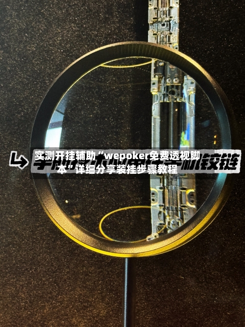 实测开挂辅助“wepoker免费透视脚本”详细分享装挂步骤教程-第1张图片