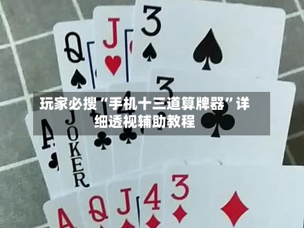玩家必搜“手机十三道算牌器”详细透视辅助教程-第1张图片