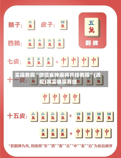 实操教程“微信雀神麻将开挂教程”(透视)其实确实有挂-第3张图片