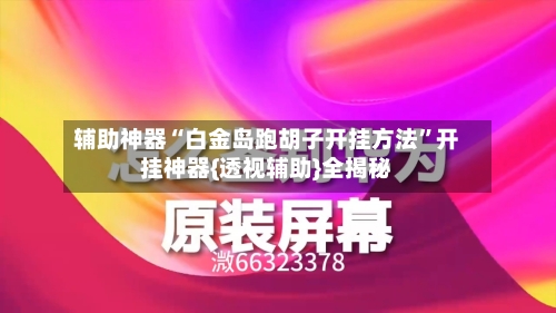 辅助神器“白金岛跑胡子开挂方法”开挂神器{透视辅助}全揭秘-第2张图片