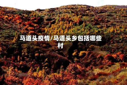 马道头疫情/马道头乡包括哪些村-第2张图片